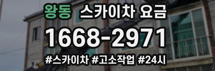 왕동 스카이차 요금