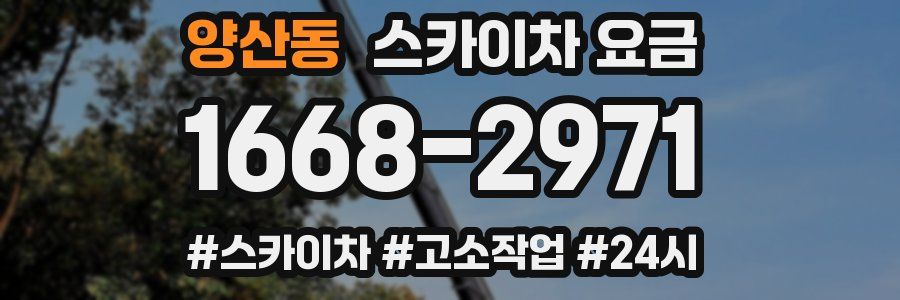 양산동 스카이차 요금
