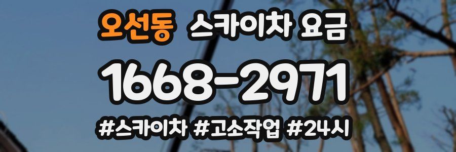 오선동 스카이차 요금