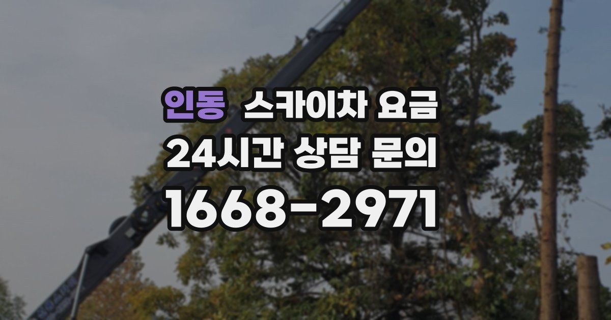 인동 스카이차 요금