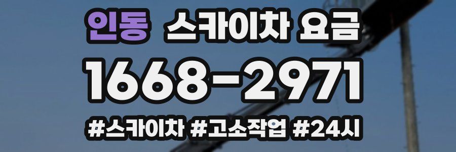 인동 스카이차 요금