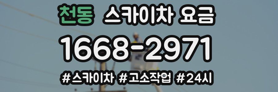 천동 스카이차 요금