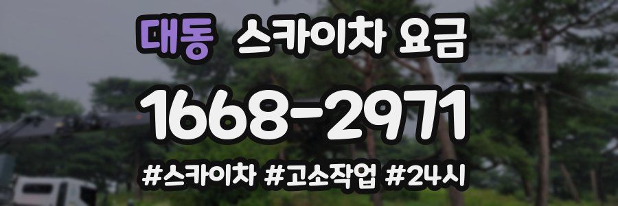 대동 스카이차 요금