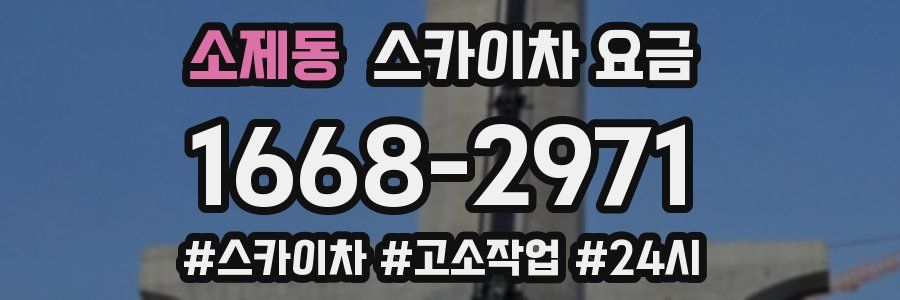 소제동 스카이차 요금