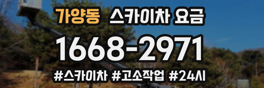 가양동 스카이차 요금