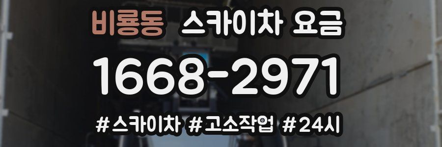 비룡동 스카이차 요금