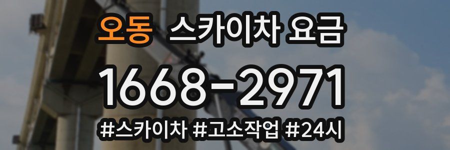 오동 스카이차 요금
