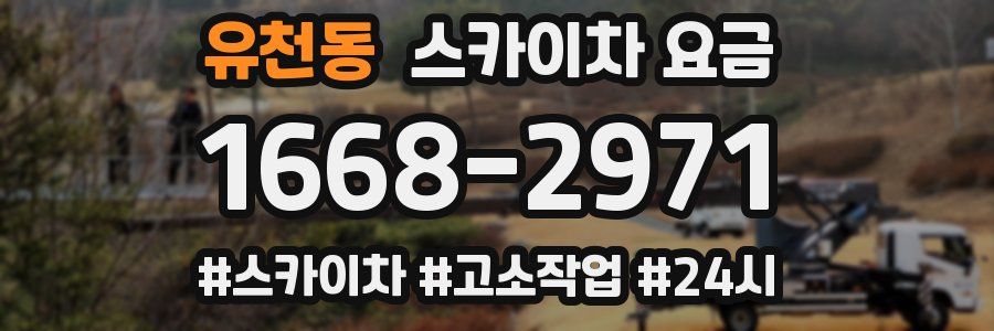 유천동 스카이차 요금