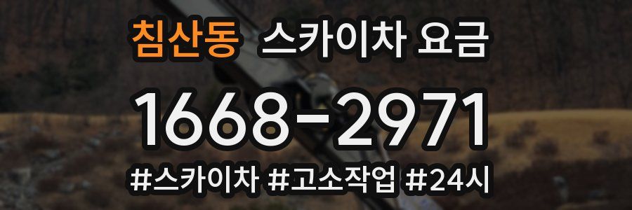 침산동 스카이차 요금