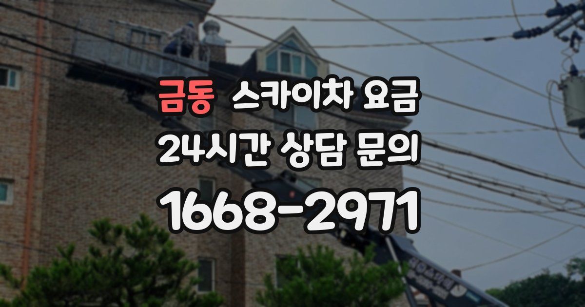 금동 스카이차 요금