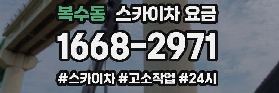 복수동 스카이차 요금
