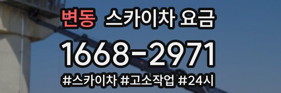 변동 스카이차 요금