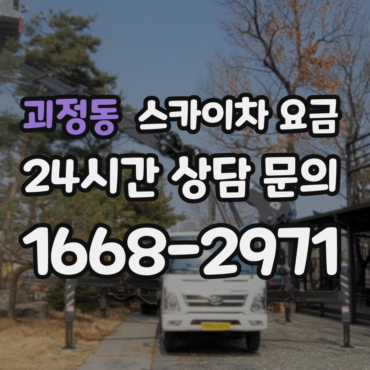 괴정동 스카이차 요금