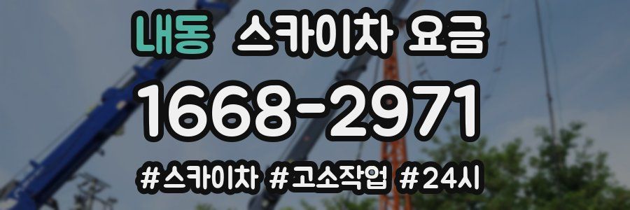 내동 스카이차 요금