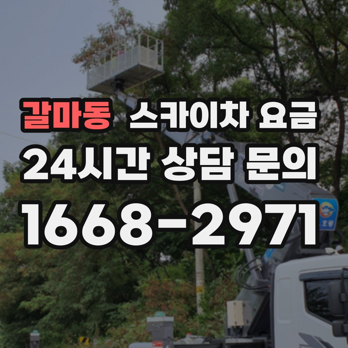 갈마동 스카이차 요금
