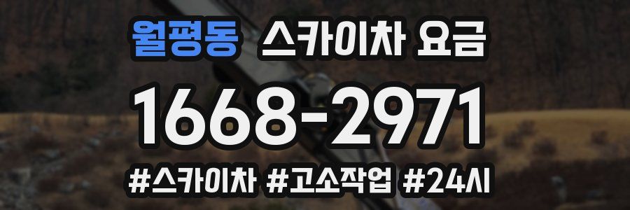 월평동 스카이차 요금