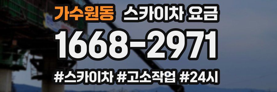 가수원동 스카이차 요금