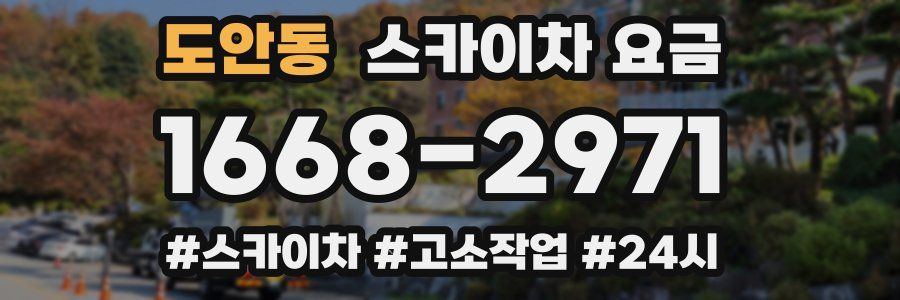 도안동 스카이차 요금
