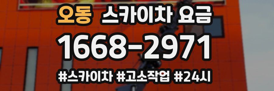 오동 스카이차 요금