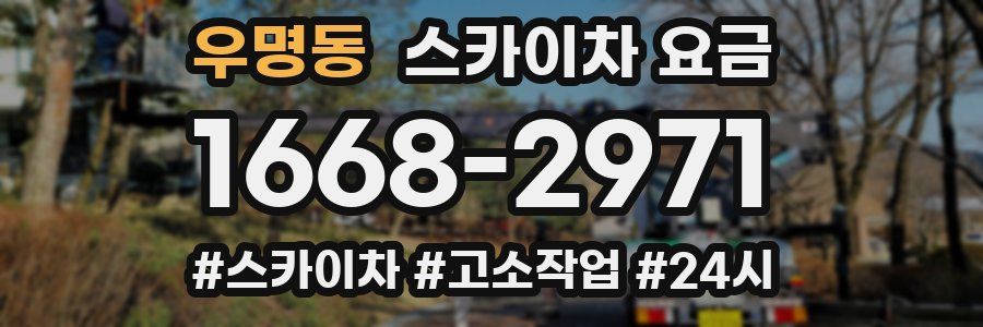 우명동 스카이차 요금