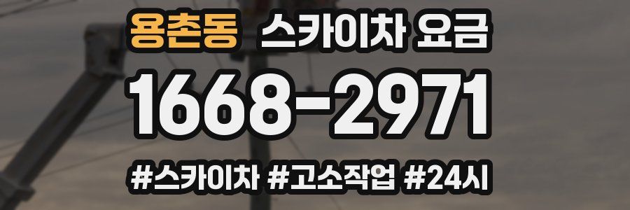 용촌동 스카이차 요금