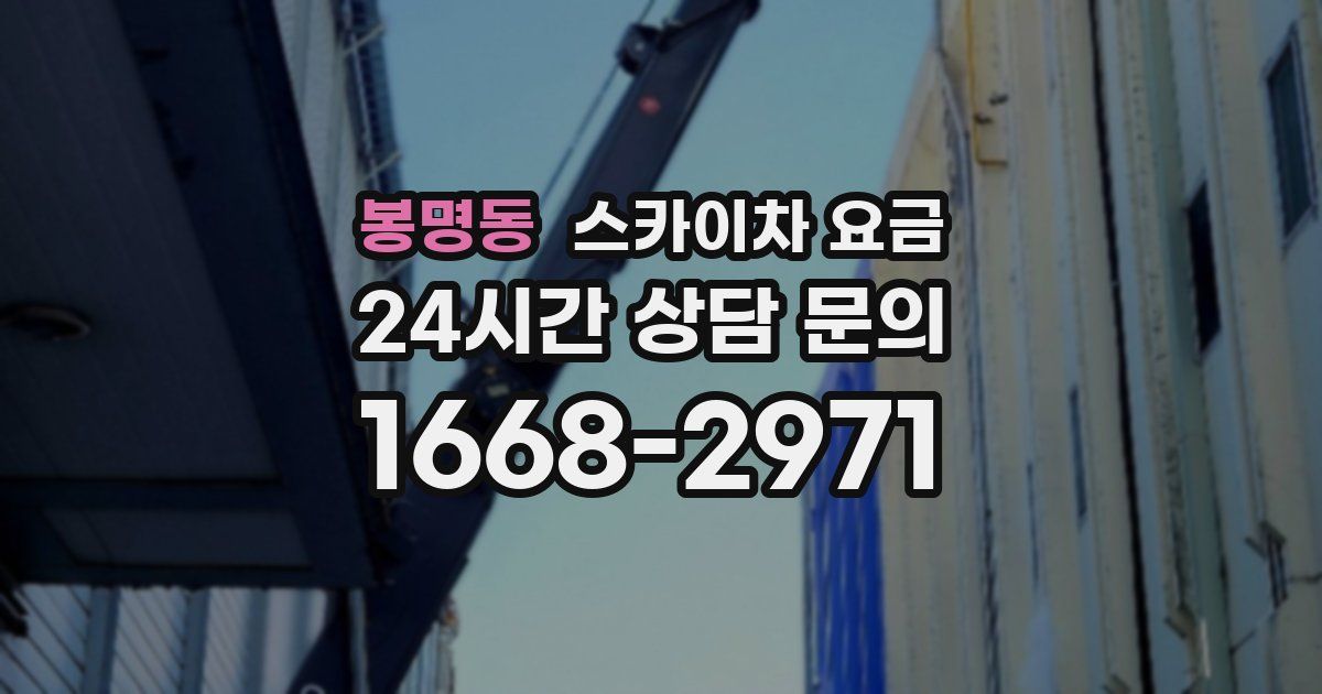 봉명동 스카이차 요금