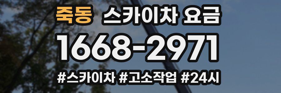 죽동 스카이차 요금