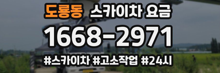 도룡동 스카이차 요금