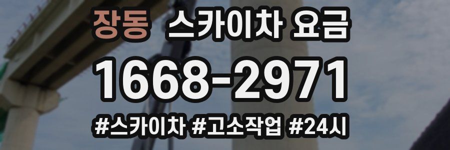 장동 스카이차 요금
