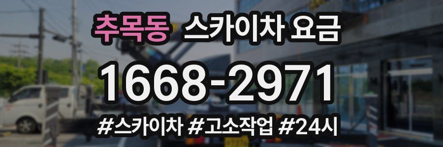 추목동 스카이차 요금