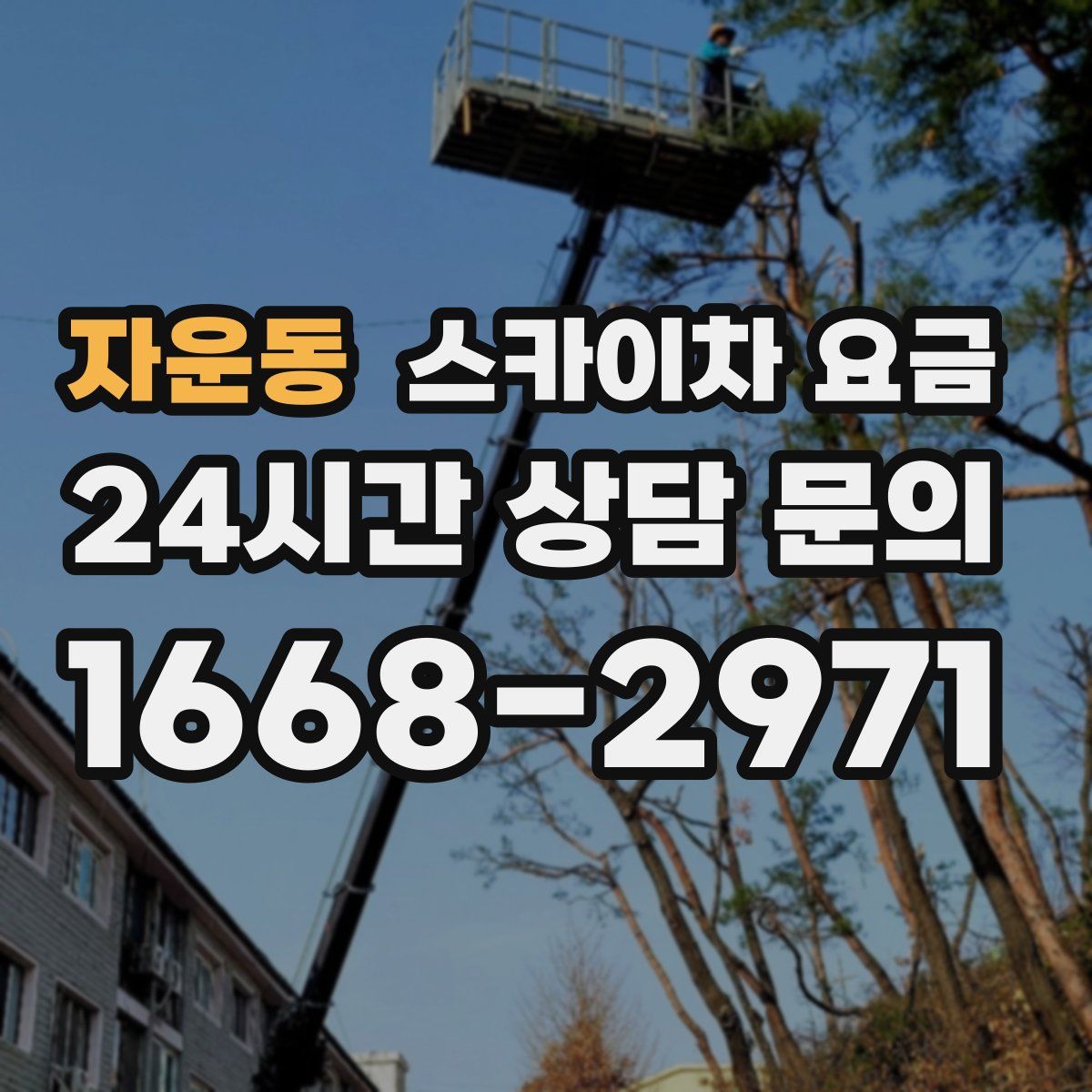 자운동 스카이차 요금