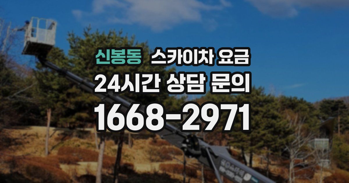 신봉동 스카이차 요금