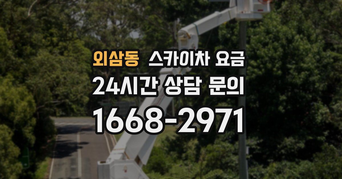 외삼동 스카이차 요금