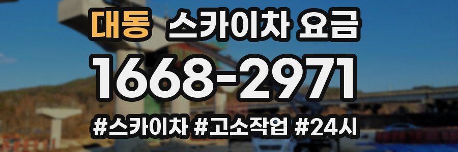 대동 스카이차 요금