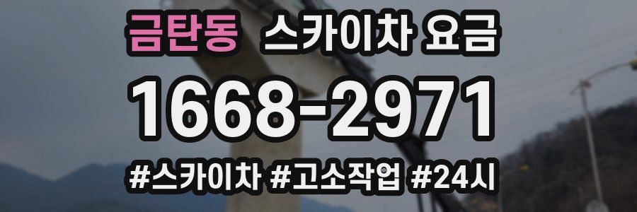 금탄동 스카이차 요금