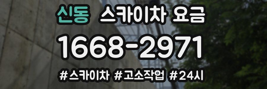 신동 스카이차 요금
