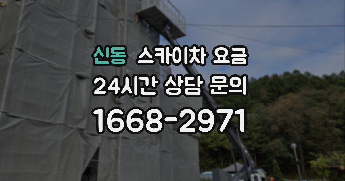 신동 스카이차 요금
