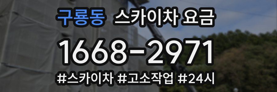 구룡동 스카이차 요금