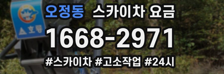 오정동 스카이차 요금