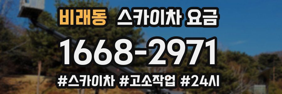 비래동 스카이차 요금