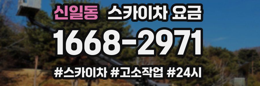 신일동 스카이차 요금