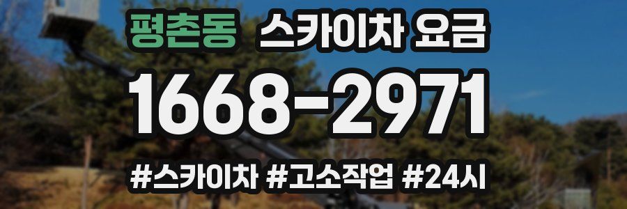 평촌동 스카이차 요금