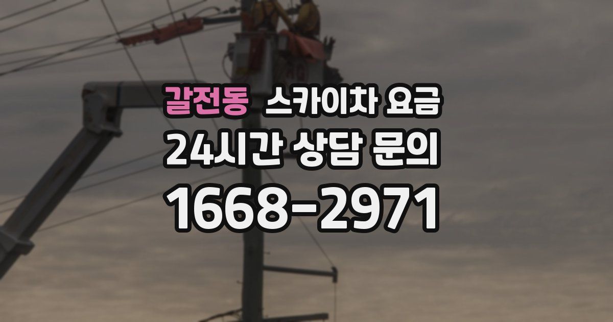 갈전동 스카이차 요금
