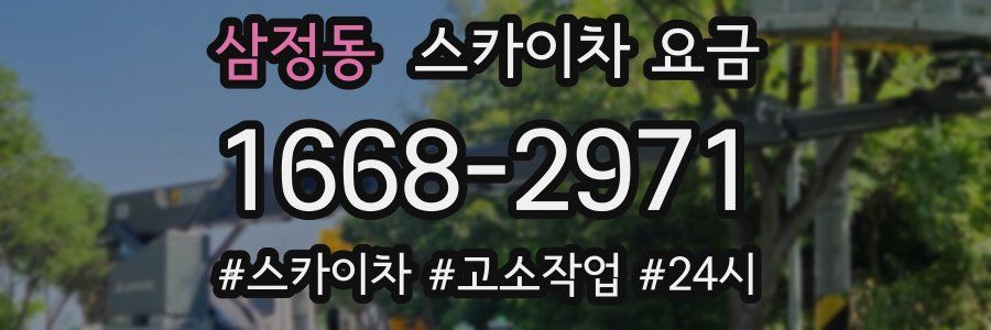 삼정동 스카이차 요금