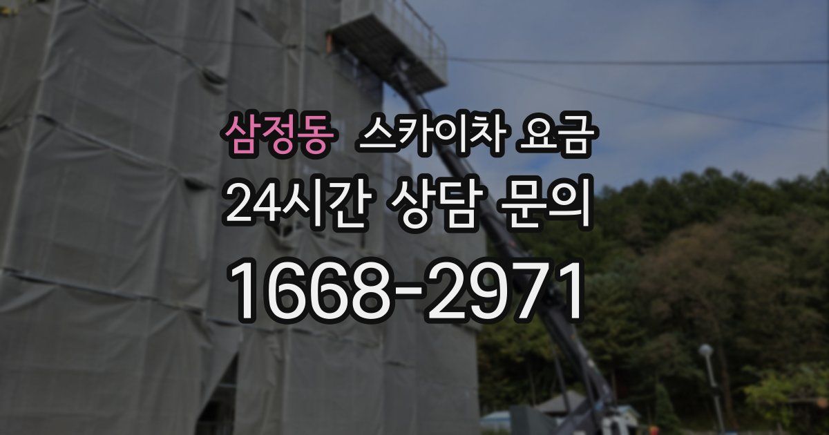 삼정동 스카이차 요금