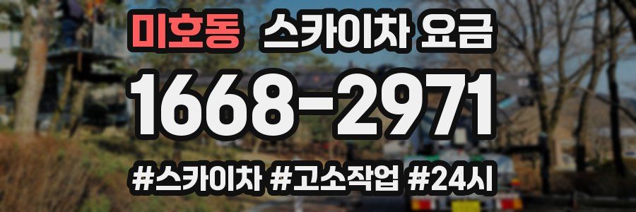 미호동 스카이차 요금