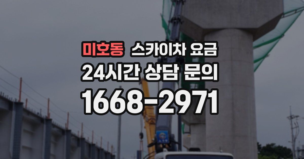 미호동 스카이차 요금