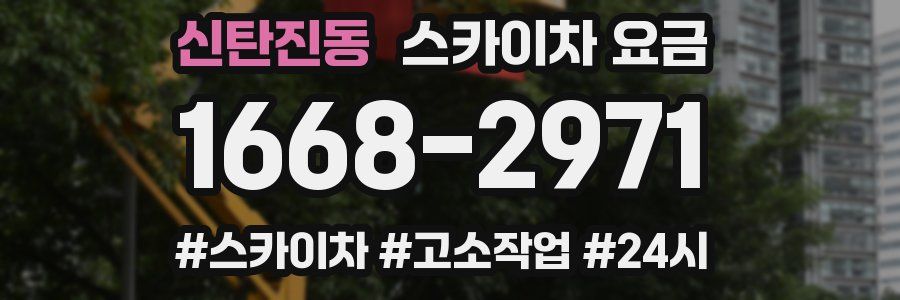 신탄진동 스카이차 요금