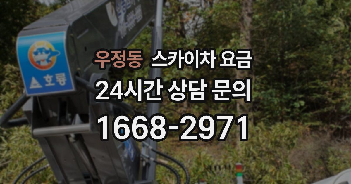 우정동 스카이차 요금