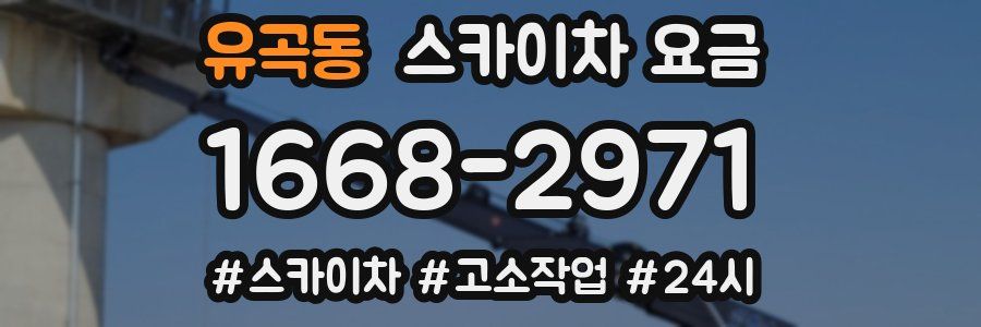 유곡동 스카이차 요금
